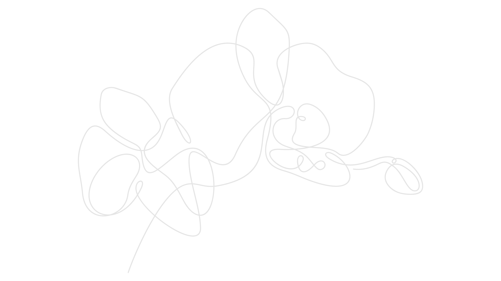 Orchidee-Orkide weiß